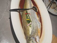 -醉庐·新上海菜(南京西路店)