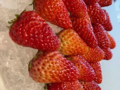 -庆和楼(北师大店)