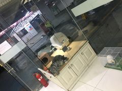 -FAELING PETS美天灵宠物(富力广场店)