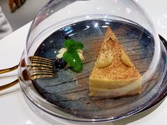 -飞行喵MR PILOT|猫舍·猫咖(静安大融城店)