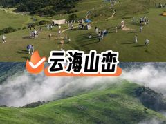 -大姆山草场