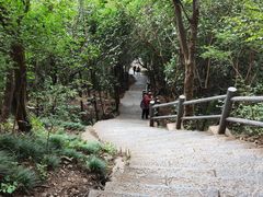 -紫金山山顶公园
