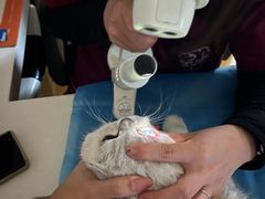 -芭比堂动物医院·犬猫全科·异宠专科(雁塔分院)