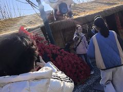 -辛庄国际文化艺术区