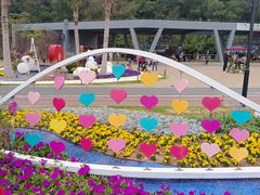 -野狸岛