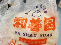 -和善园手工大包子(常德路店)