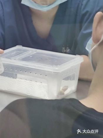 可看种类多多的宠物医院