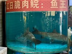 -红日饭店(裕隆三路店)