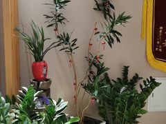 -修申骨雕小颜脊柱骨盆管理产后修复