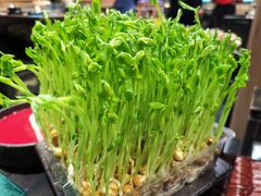 -火鳳祥美蛙牛肉自助(青悦城店)