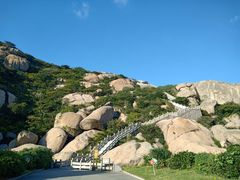 -洋山深水港