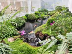 -罗红摄影艺术馆