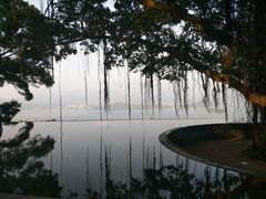 -大埔公路-马料水段香港中文大学(公交站)