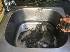 -小象钓虾·营地烧烤(洛溪店)