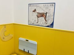 -瑞派·爱瑞可动物医院·口腔专科(广华新城分院)