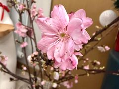 -盒马鲜生(首义店)