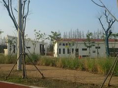 公园内-上海长兴岛郊野公园