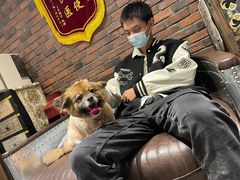 -宠颐生斯嘉宠物医院·急重症·心内科(谷阳北路分院)