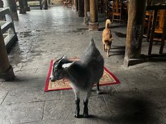 -庐山西海主景区