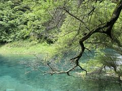 -叠溪松坪沟景区