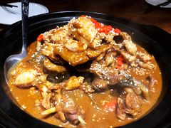 甲鱼牛蛙锅-洪湘记川湘·甲鱼馆(四海凯悦美食广场店)