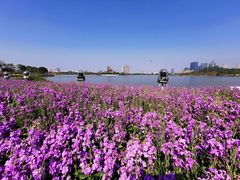 -顺峰山公园