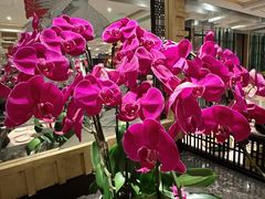 -囍凤楼·粤菜·点心·火锅(温特莱店)