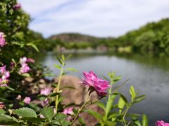 -白马涧龙池景区
