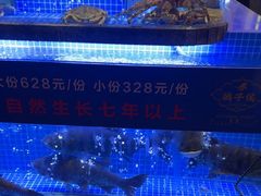 -鸽子侯·家宴·平价海鲜(绿地店)