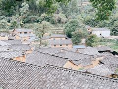 -杨家堂村