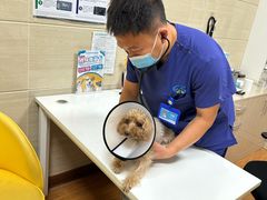 -北京观赏动物医院·24小时大型综合·猫专科·异宠专科