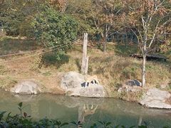-宁波野生动物园