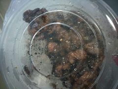 -桃子餐厅·天津菜(红星路直营店)