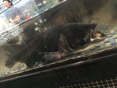 -森谷美食公园(杨行店)