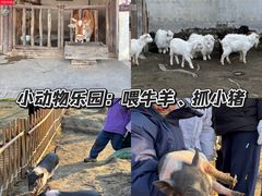 -乌村