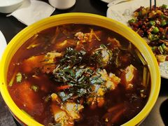 -陈麻婆豆腐总店
