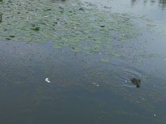 -前关湿地公园