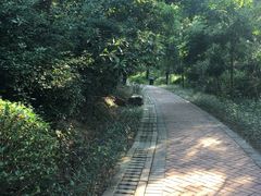 -聚龙山公园
