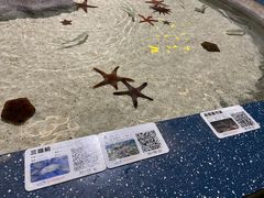-福州罗源湾海洋世界旅游区
