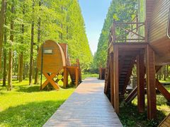 -黄海国家森林公园