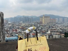 -钜记手信(大三巴街店)