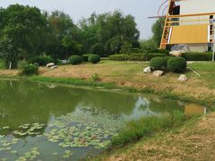 -艾溪湖湿地公园
