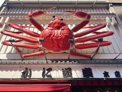-蟹道乐(道顿堀本店)