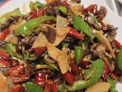 -鼎原力量东北吊炉烧烤(临河街店)