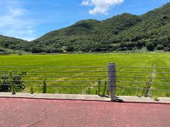 -东海半边山旅游度假区