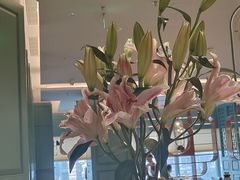 -南堂馆·新川菜(春熙路店)