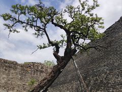 -北京明城墙遗址公园