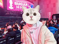 -成都金融城演艺中心