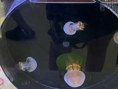 -凯德广场(武胜路店)