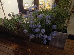 -小茶闲舍·观景商务茶馆(广州塔店)